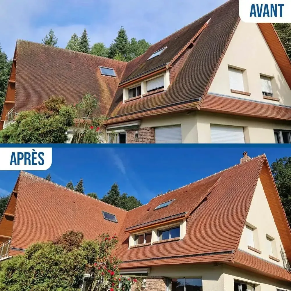 Démoussage toiture artisan Rouen