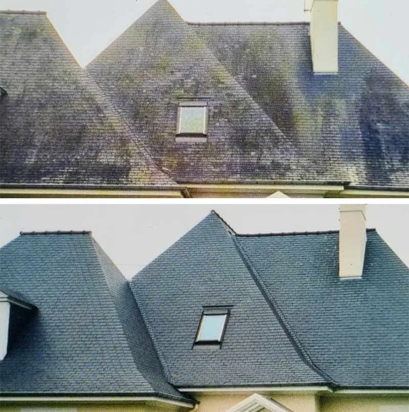 Traitement anti-mousse toiture